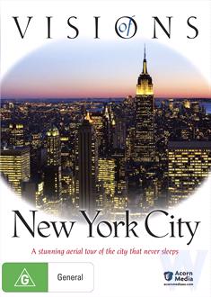 Visions Of New York City