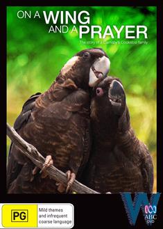 On A Wing And A Prayer